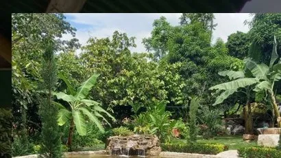 Jardines de Verde Menta